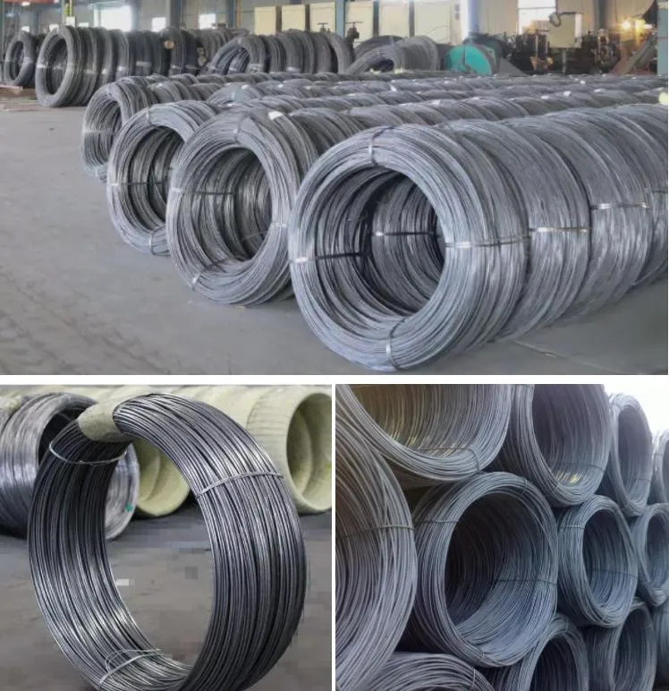 2.5mm 6 mm Bwg21 Sch80 Ss400 S235jr Q345 Q195 Zinc Coated Elevator Galvanized High Tensile Carbon Steel Wire Rope